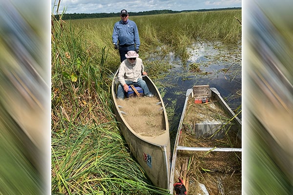 Is 2024 the worst year ever for Minnesota wild rice? – Outdoor News