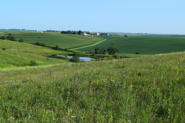 Kunch family donation becomes popular public hunting spot in Iowa – Outdoor News