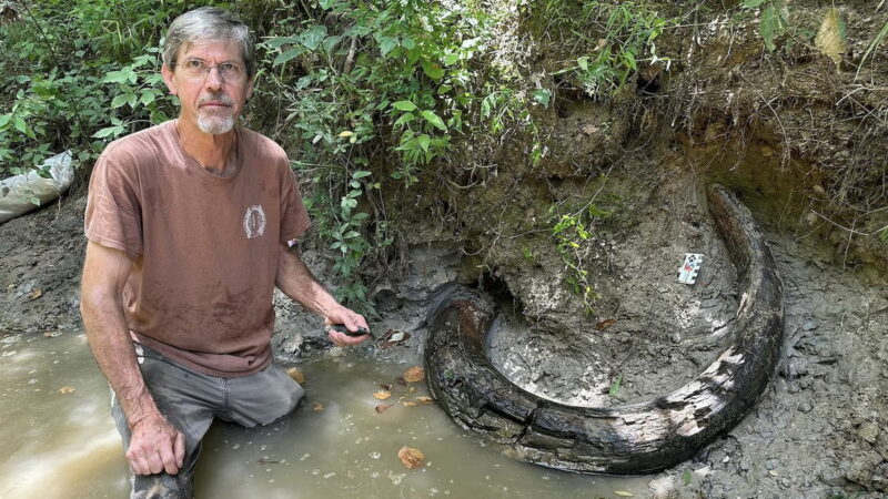 Man Makes a Truly Mammoth Discovery in Mississippi