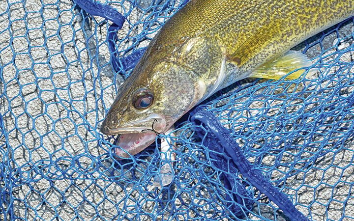 MN Daily Update: New walleye regulations on Mille Lacs – Outdoor News