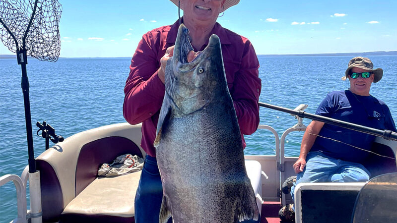 Montana Retiree Catches Pending State-Record Chinook Salmon from His Pontoon