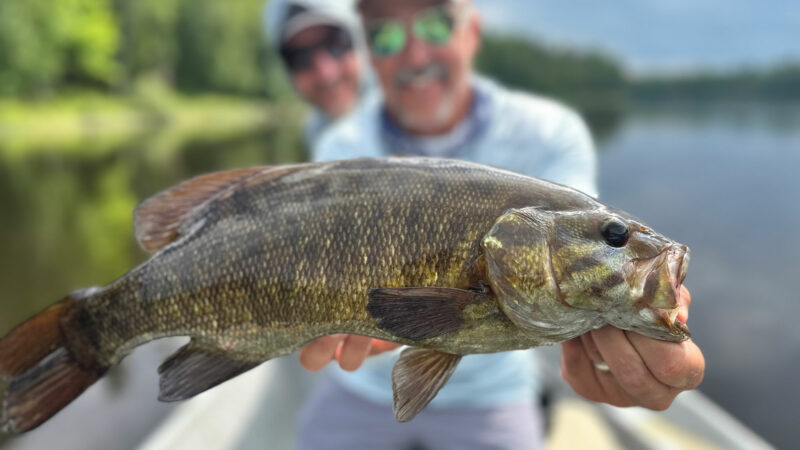 Podcast: The Secrets to Catching Bug-Drunk Smallmouths