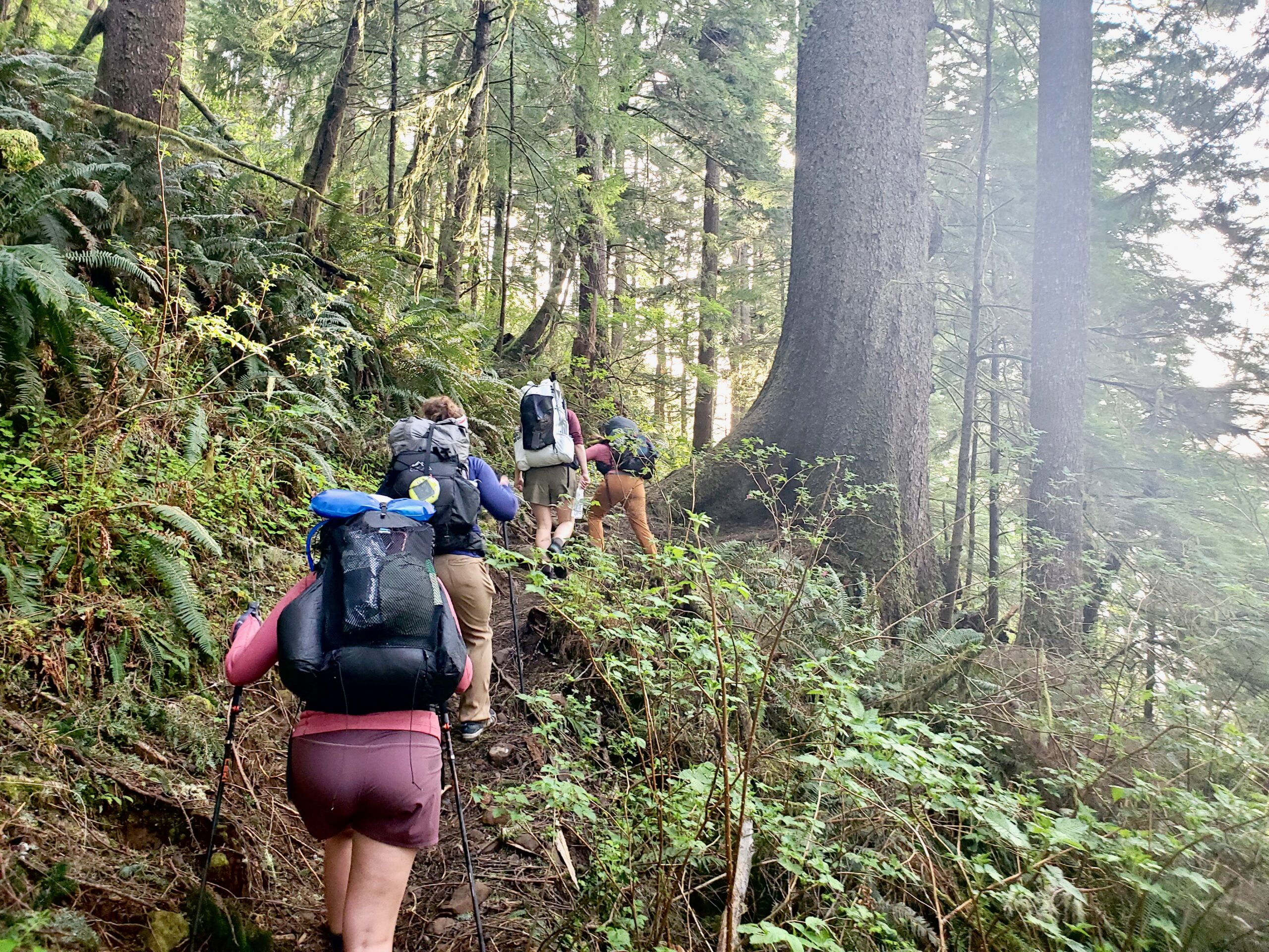 The Zpacks had excellent load bearing given its bona fides as the lightest of the ultralight packs.