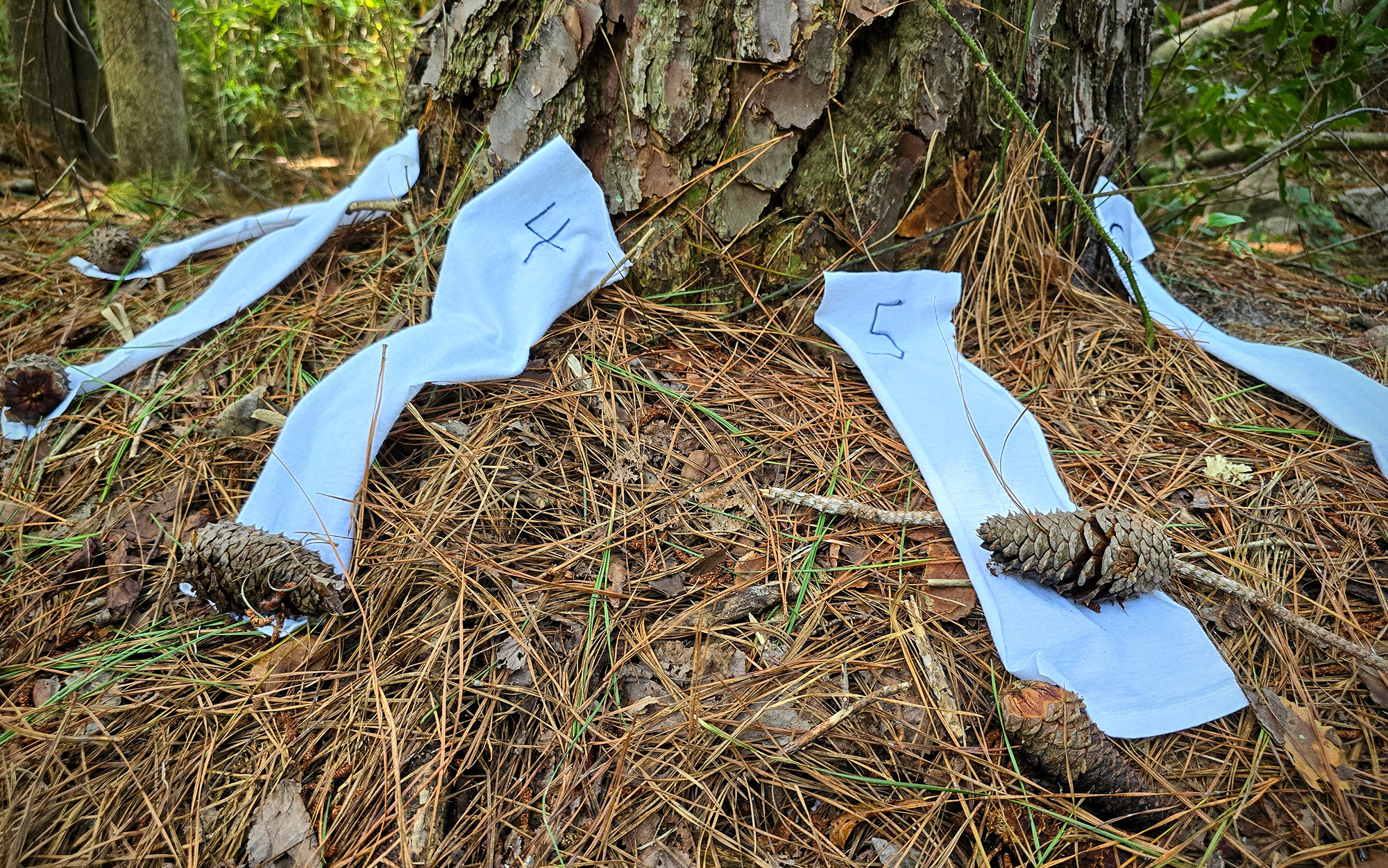 Pieces of treated cloth sit under a tree.