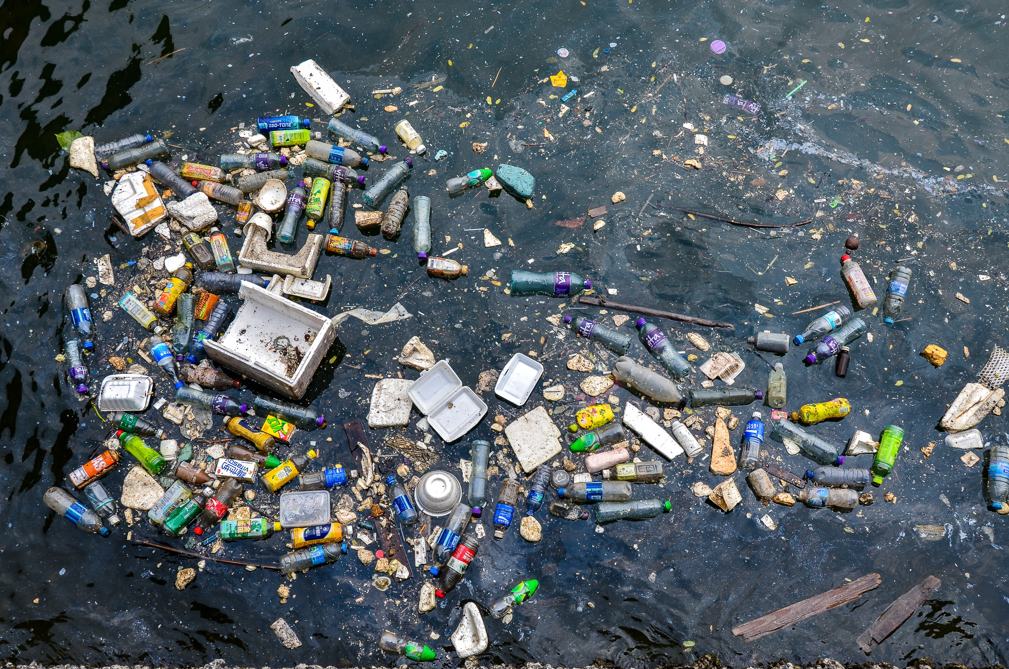 floating ocean trash in Hong Kong