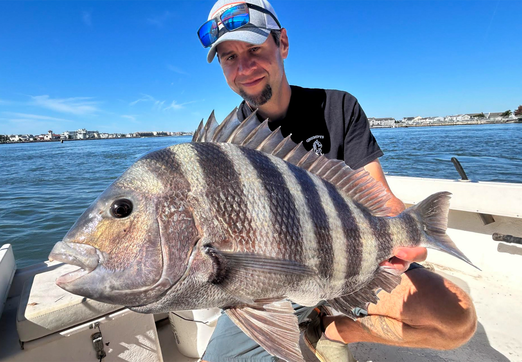 An angler holds up a sheepshead.