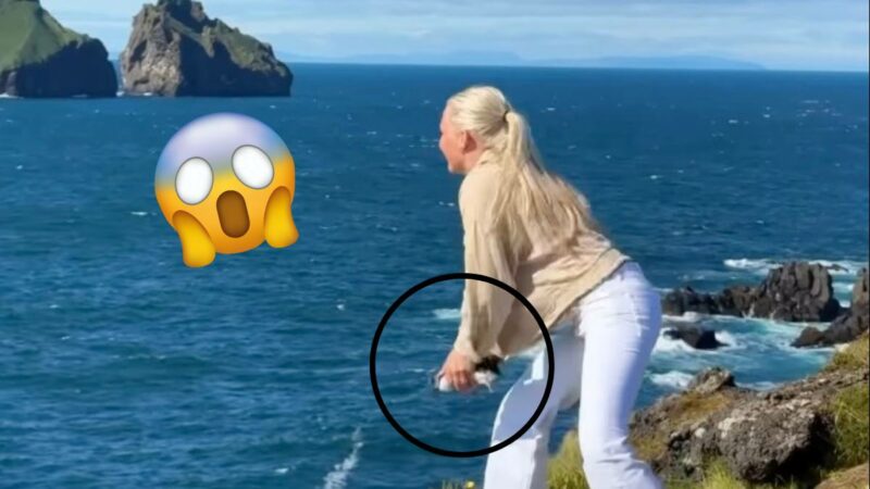 Why Are People Throwing Baby Puffins off Cliffs in Iceland?