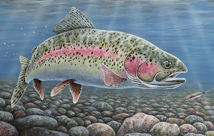 Winners chosen for Minnesota’s 2025 trout and salmon stamp, walleye stamp contests – Outdoor News