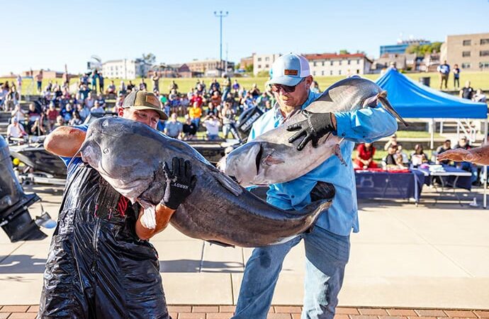 Another 100-pounder hits the scales at Alton Catfish Classic in Illinois – Outdoor News