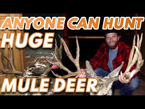 Are You Stoked for Your DIY Western Big Game Hunt? Here’s What the Hunting Podcasts and Influencers Don’t Tell You