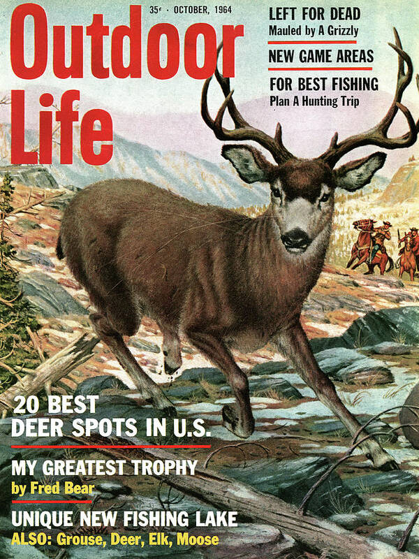 An old OL cover illustration of a mule deer.