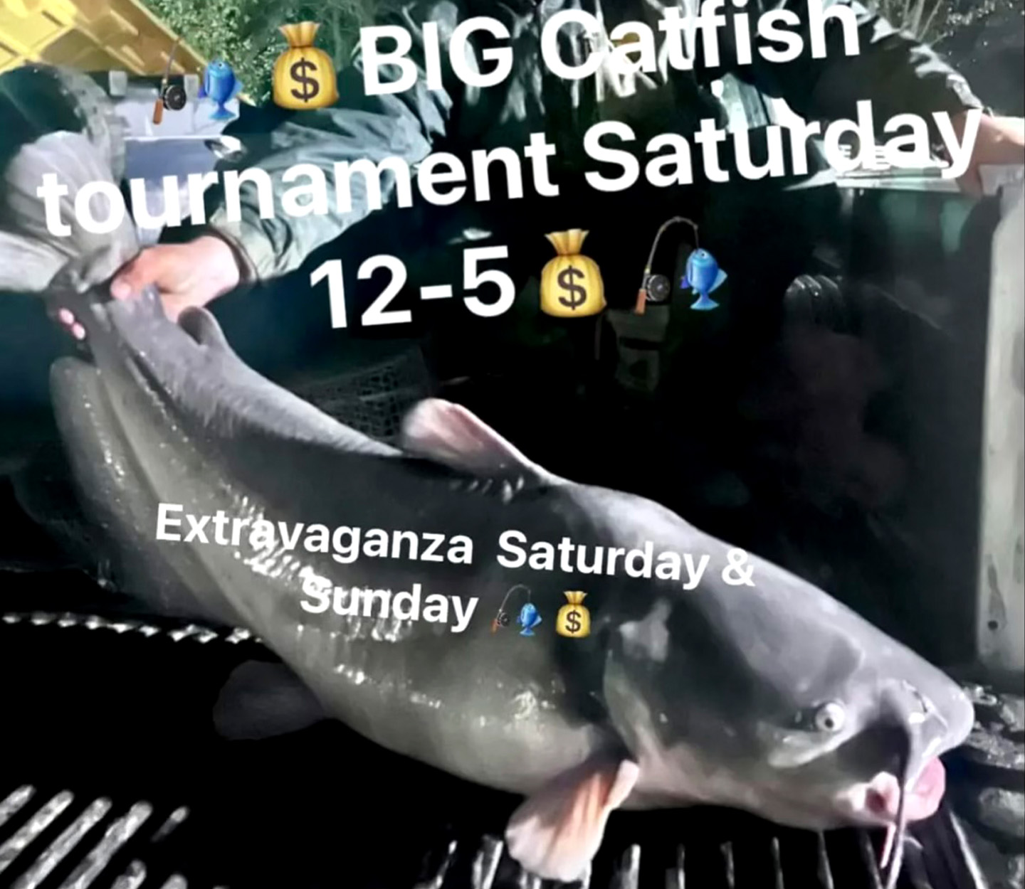 A social media post for a catfish tournament.