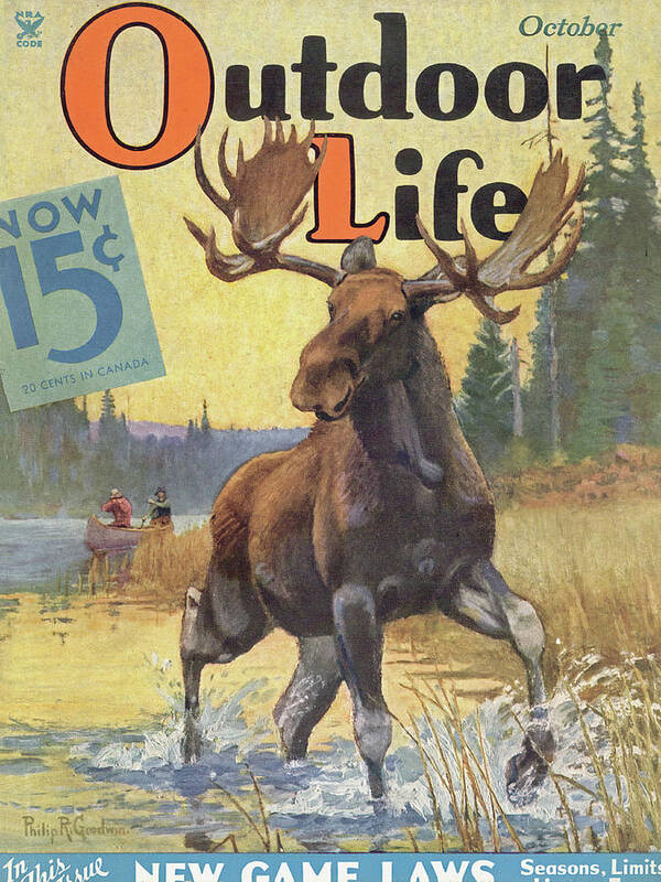 A big bull moose on the cover of Outdoor Life