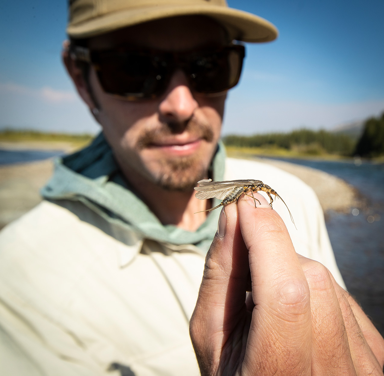 A fly fisherman holds up a stonefly.