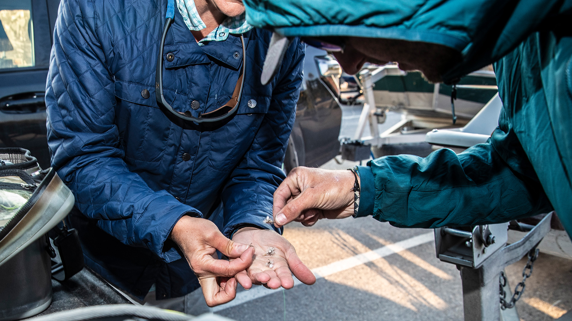 Two fly fishermen choose a fly.