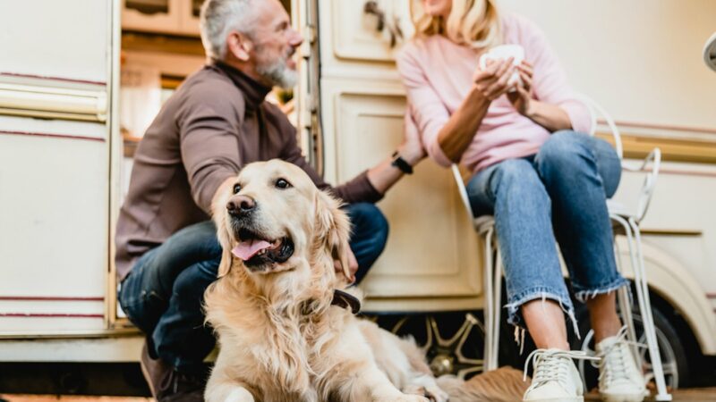 Dog-Friendly Campgrounds RVers Love