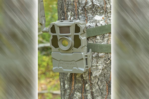 Don’t make these three mistakes with cell cameras that hunters often make – Outdoor News