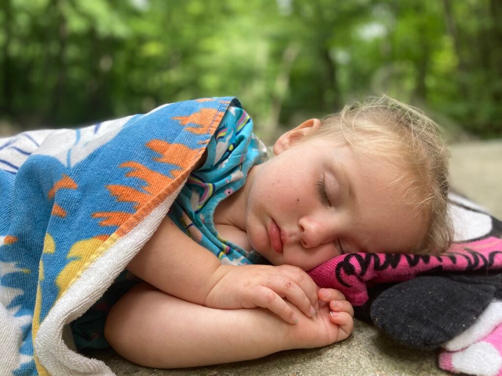 Taking a nap on the rocks