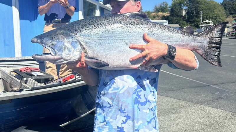 Fisherman Catches ‘Behemoth’ Chinook Salmon in Oregon