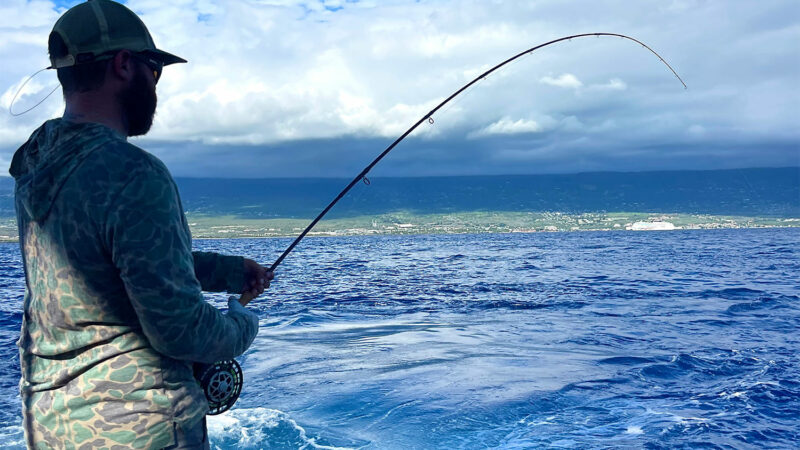 Fly Fisherman Lands Pending World-Record Marlin After 3-Hour Battle