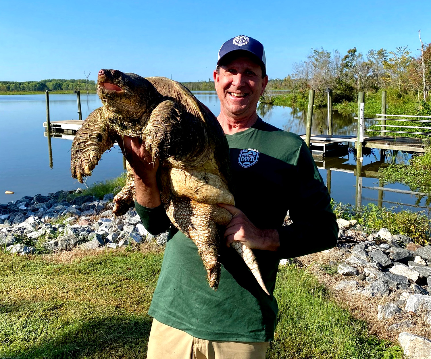 A wildlife official holds up a giant snapping turtle.