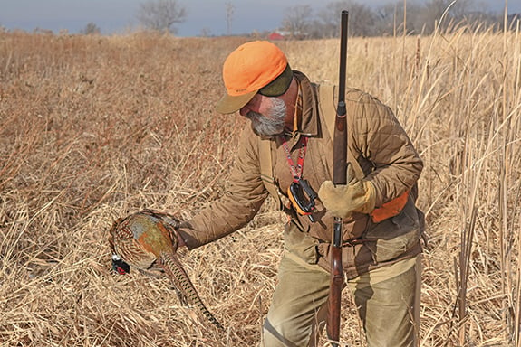 Habitat is the focus of Minnesota DNR’s draft pheasant, duck plans – Outdoor News