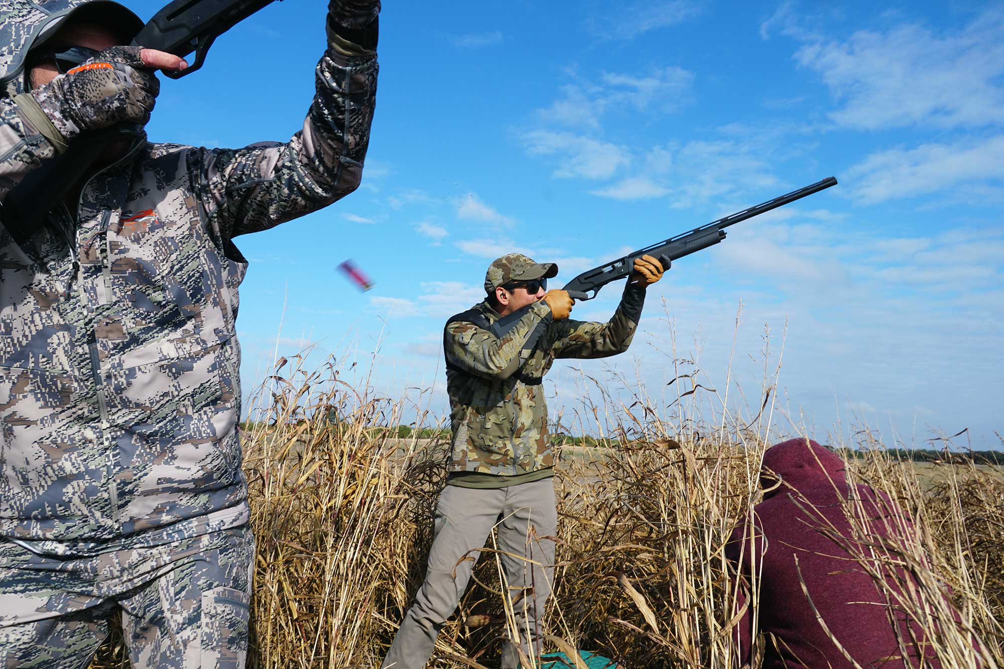 pigeon hunt argentina