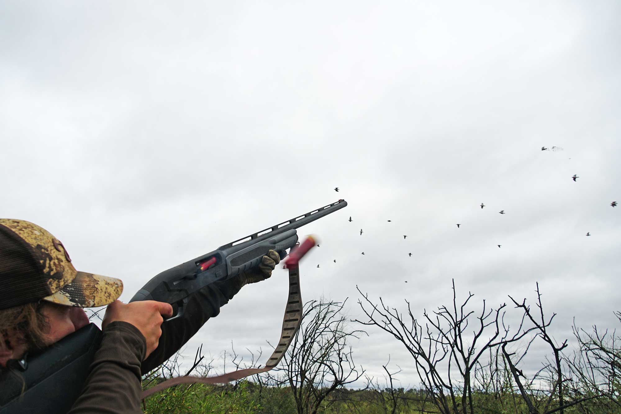 dove hunting