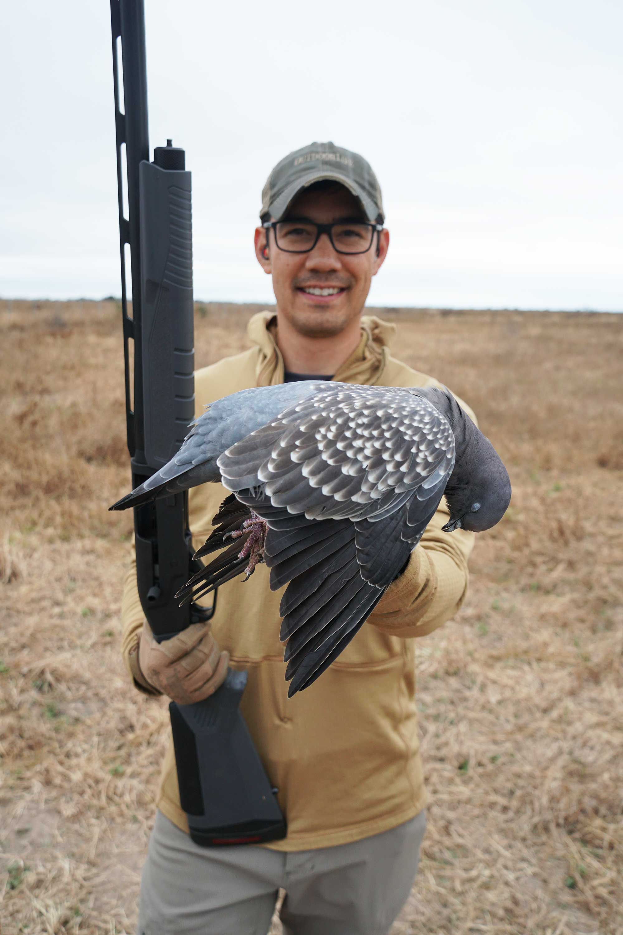 pigeon argentina