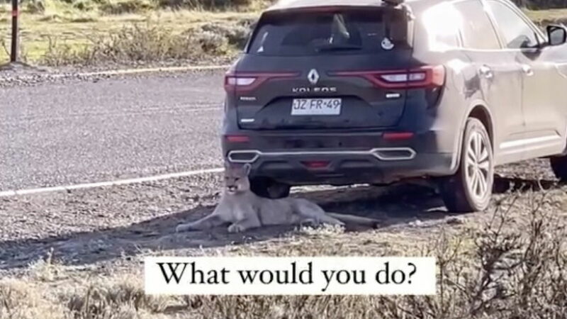 Hiker Returns to Car to Find THIS. What Would You Do?