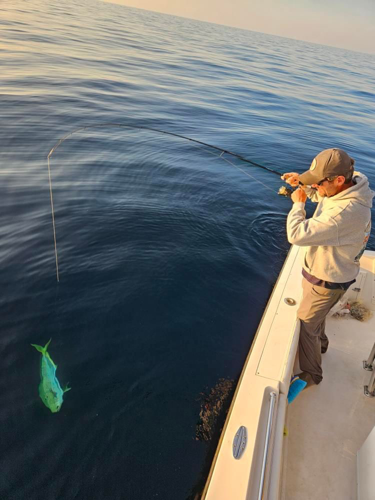 A fisherman brings a mahi mahi boatside.