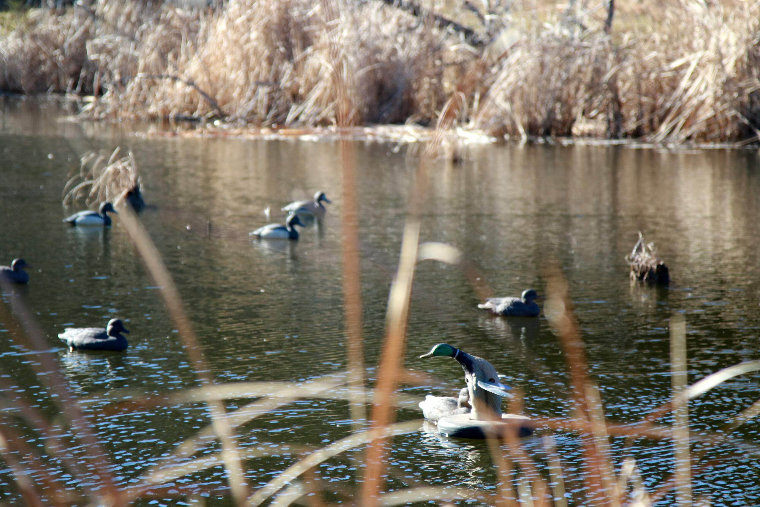 On-water motion is effective.