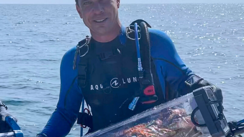 ‘I Didn’t Even Try,’ Says Florida Diver Who Speared 915 Lionfish to Win Annual Tourney