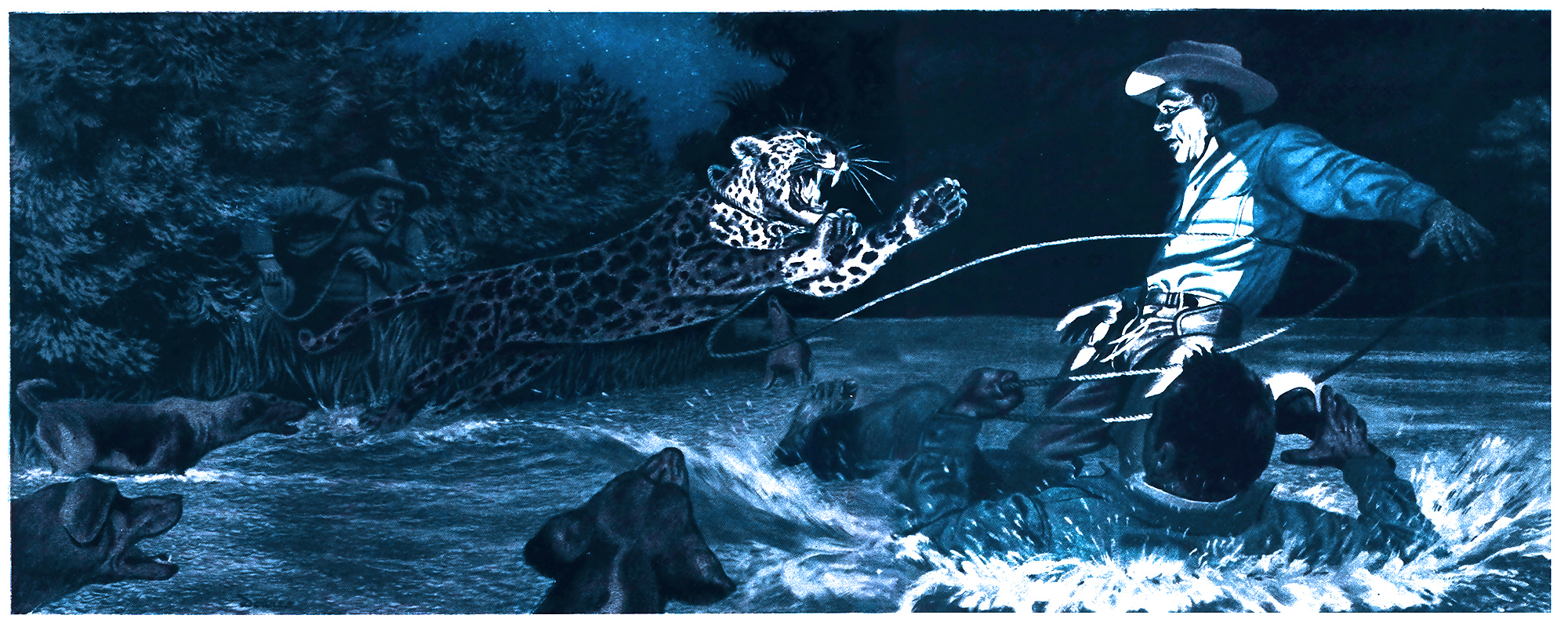 An illustration of a man in a cowboy hat trying to lasso a jaguar in the dark