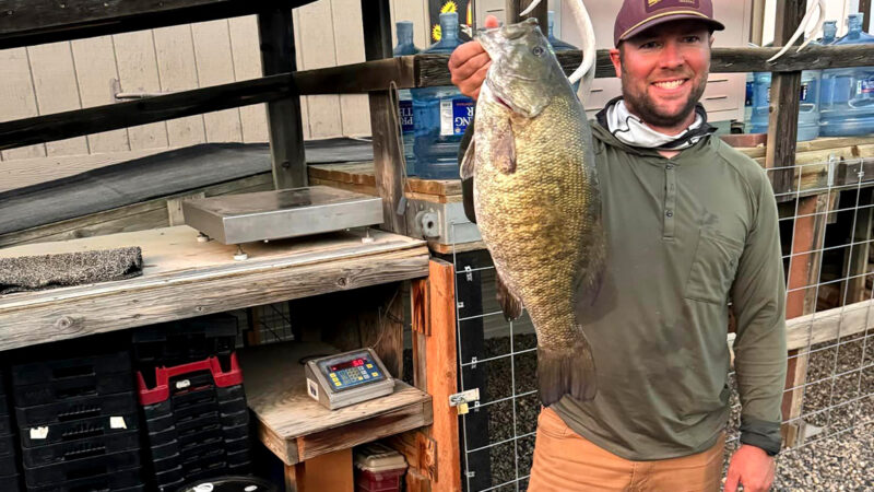 ‘I Was in Disbelief.’ Fishing Guide Releases Montana’s Pending-Record Smallmouth Bass