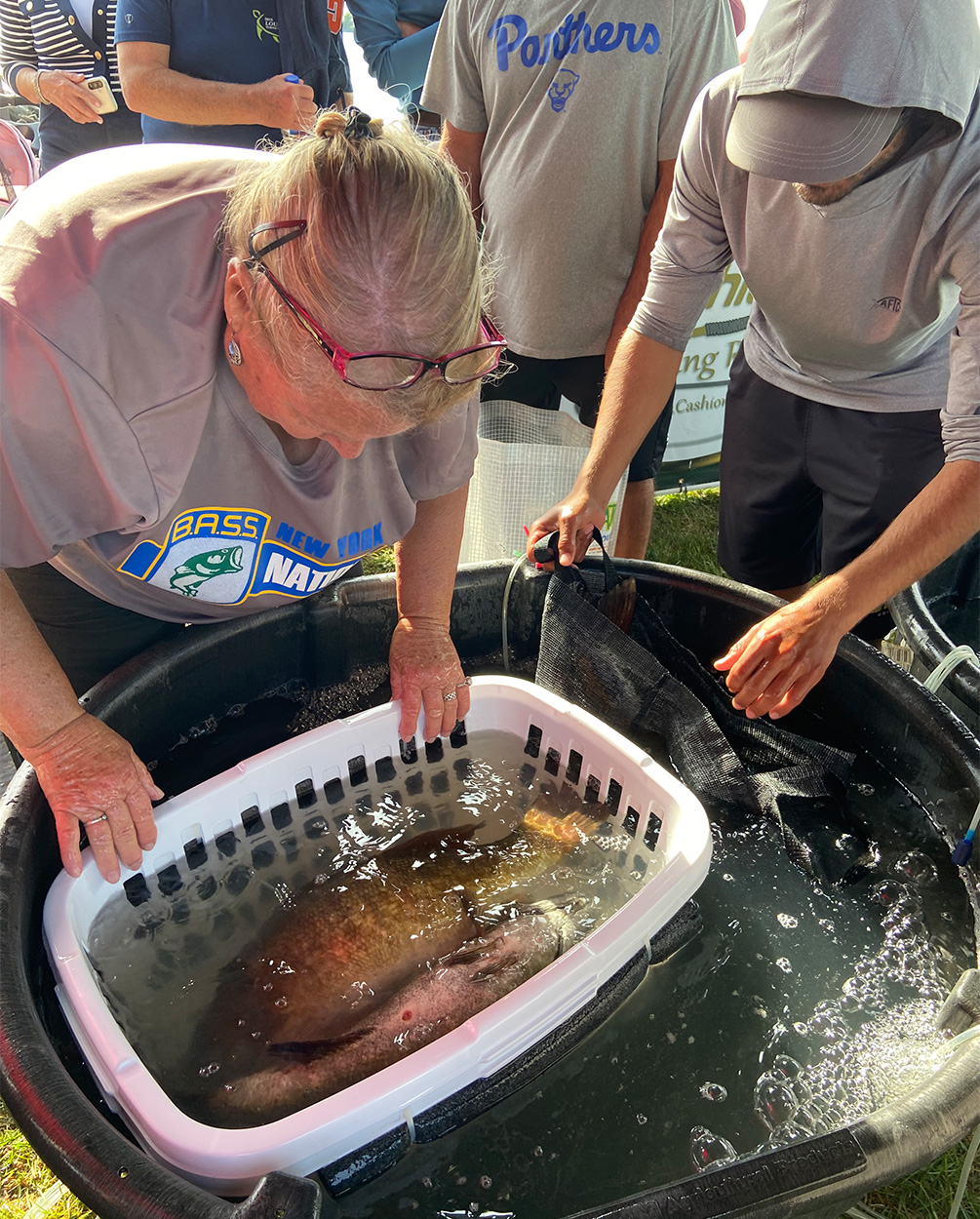 A tournament angler and official look at a big smallmouth bass before weighing it.