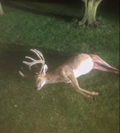 Iowa Officials Are Asking for Help After a 214-Inch Buck Got Poached and a New Deputy Botched the Investigation