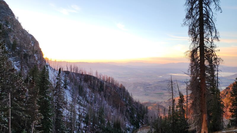 Last-Chance Billy: While Battling MS, a Diehard Hunter Draws a Once-in-a-Lifetime Mountain Goat Tag