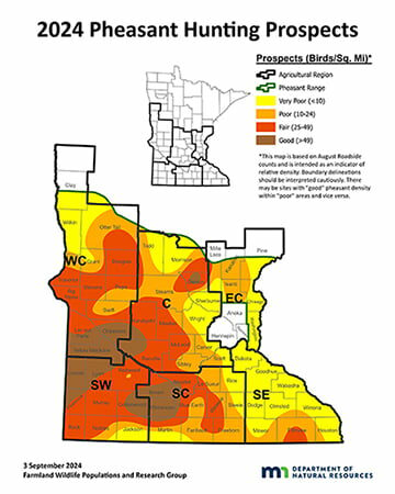 Minnesota’s annual roadside survey shows statewide pheasant numbers similar to 2023 – Outdoor News