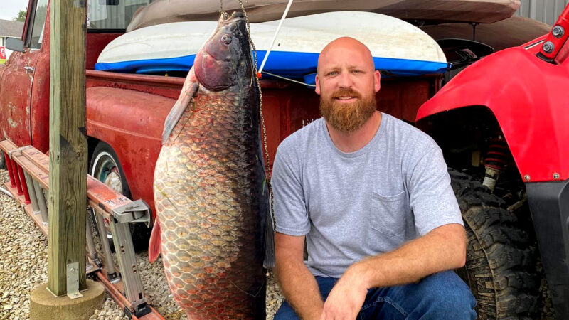 Missouri Bowfisherman Arrows State-Record Grass Carp After Losing It the Day Before