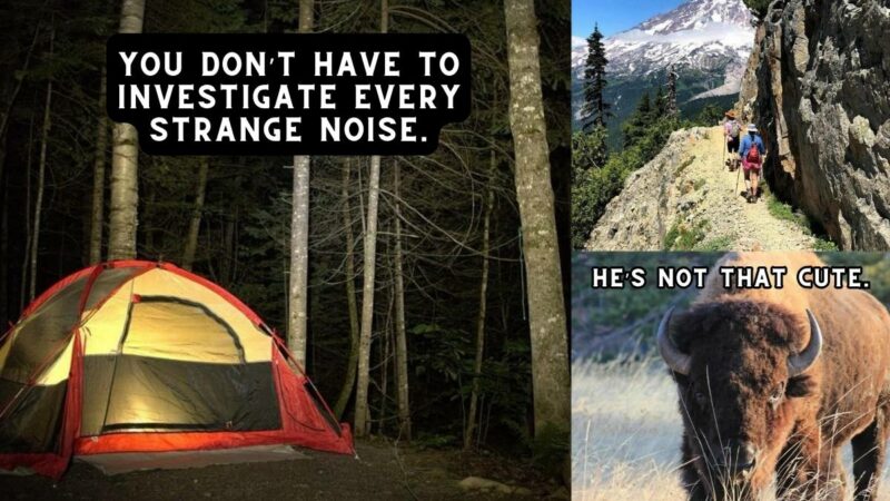 NPS Shares Hilarious ‘Helpful Tips’ for Friday the 13th