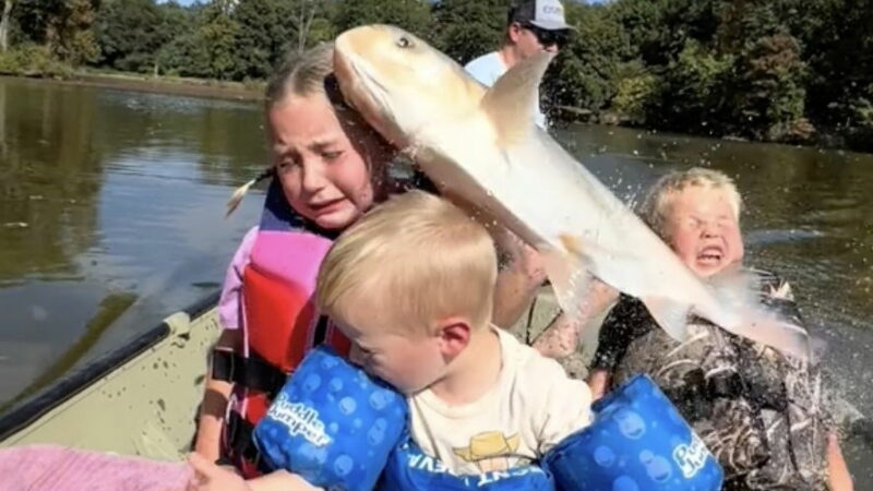 See the Hilarious Moment a Huge Fish Slaps Three Kids in the Face