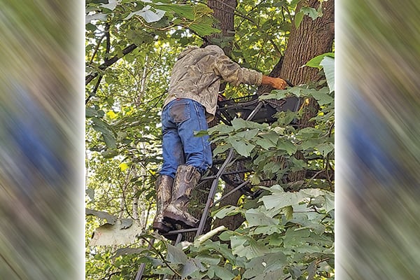 Steve Carney: Ways to beat the heat during early archery deer sits, and a turkey vulture assist – Outdoor News