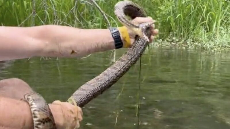 Texas Man Pulls Snake out of Water While Tubing Down a River