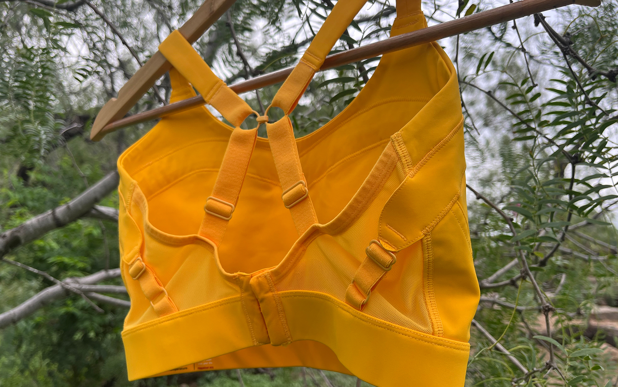 The Maaree sports bra hangs on a hanger in a tree.