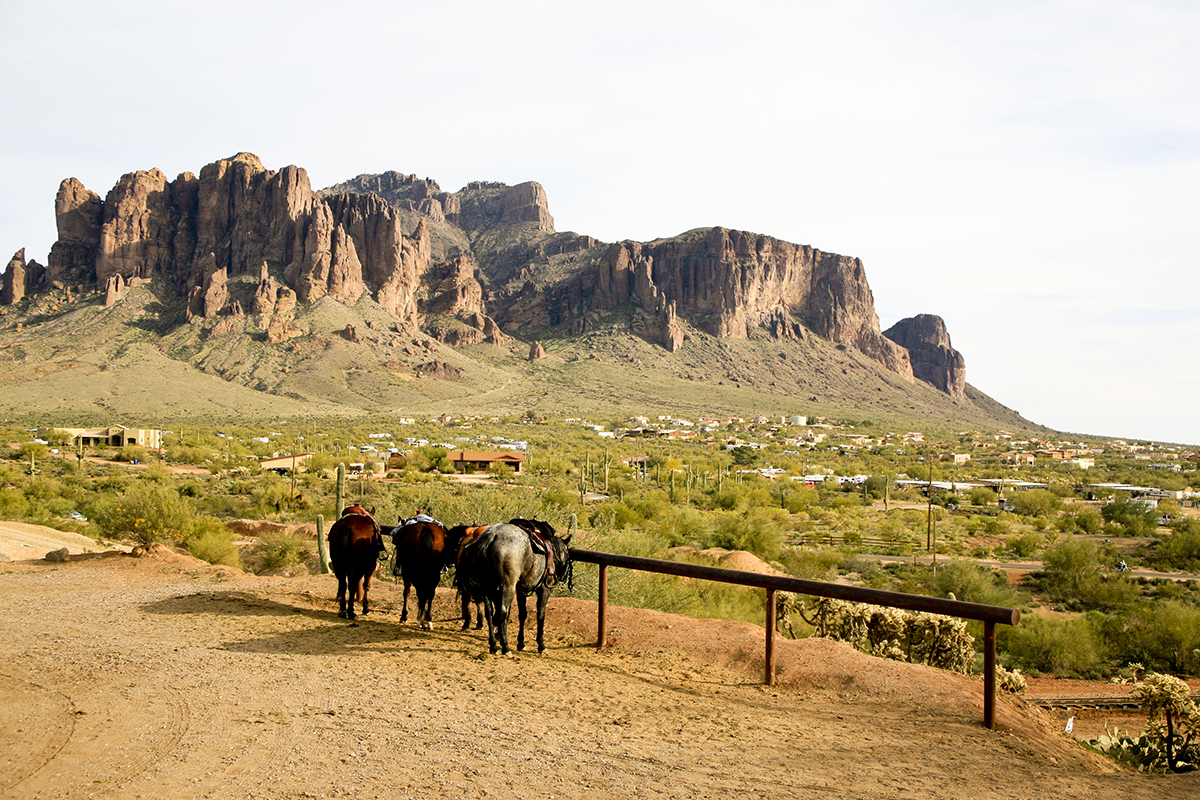 The Arizonian RV resort