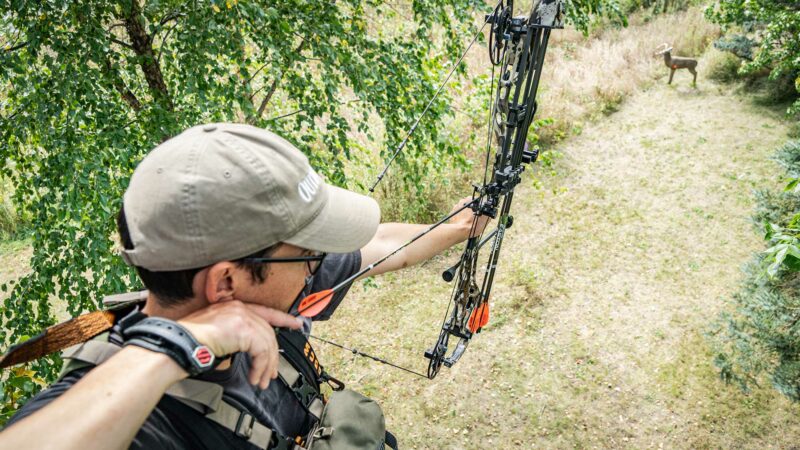 The Ideal Compound Bowhunting Setup for Whitetails