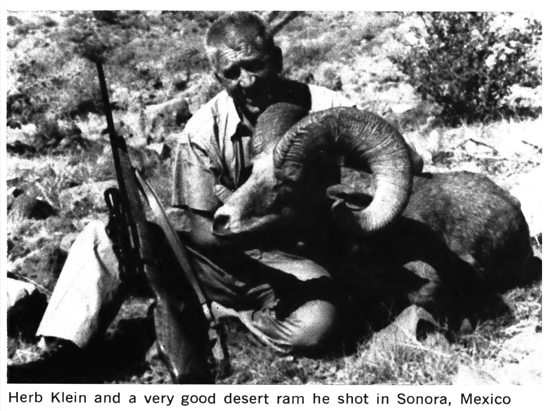 A hunter with a nice desert ram from the early 20th century.