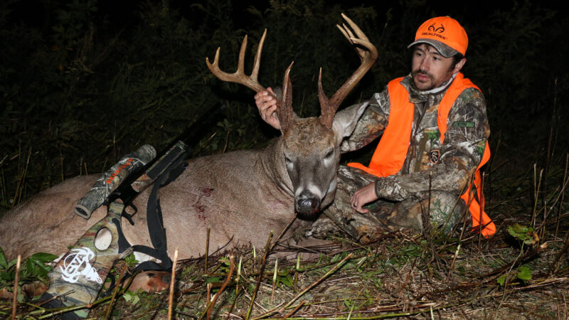 The Most Underrated Food Sources for Whitetail Deer