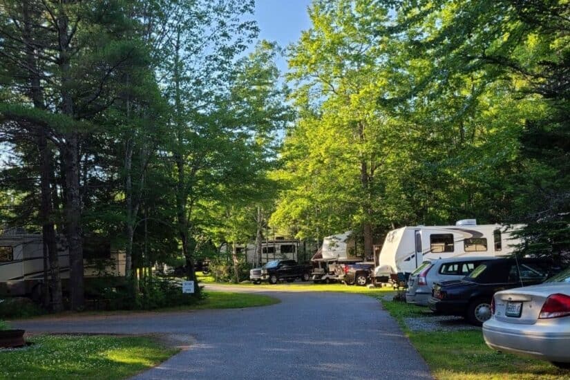 Campsites at Timberland Acres.